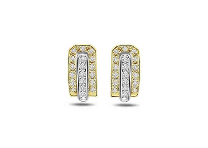 2 Tone Plated | Fashion Earrings